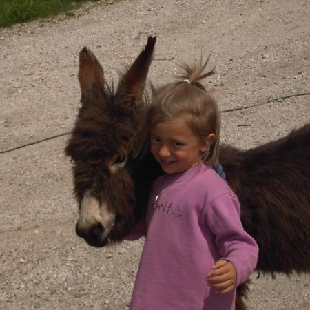 Willa Troglerhof Lajen Zewnętrze zdjęcie
