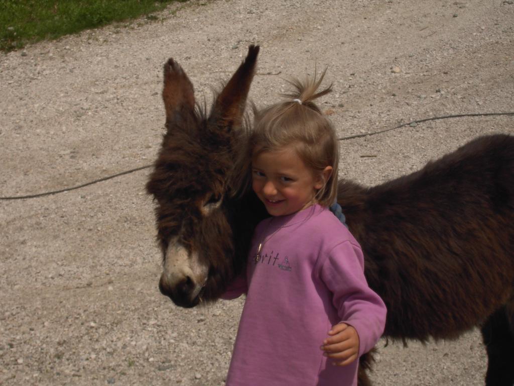 Willa Troglerhof Lajen Zewnętrze zdjęcie